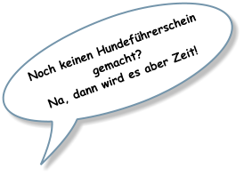 Noch keinen Hundeführerschein gemacht? Na, dann wird es aber Zeit!